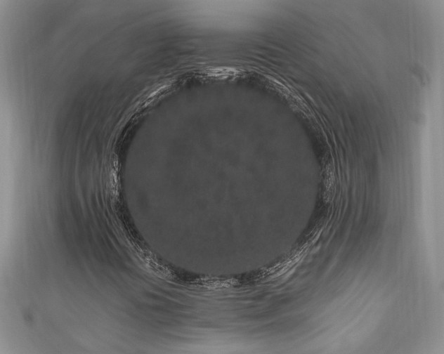 X0000111191394200907011402