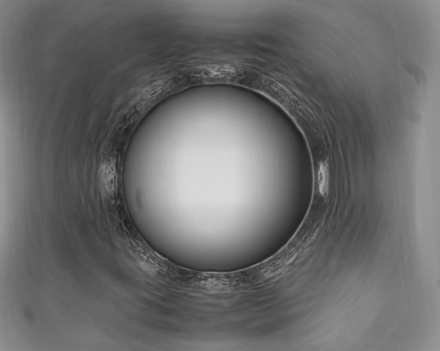 X0000111191395200907011402