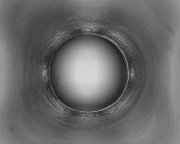 X0000111191396200907011402