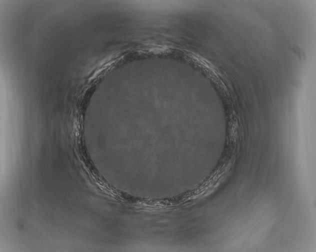 X0000111191397200907011402