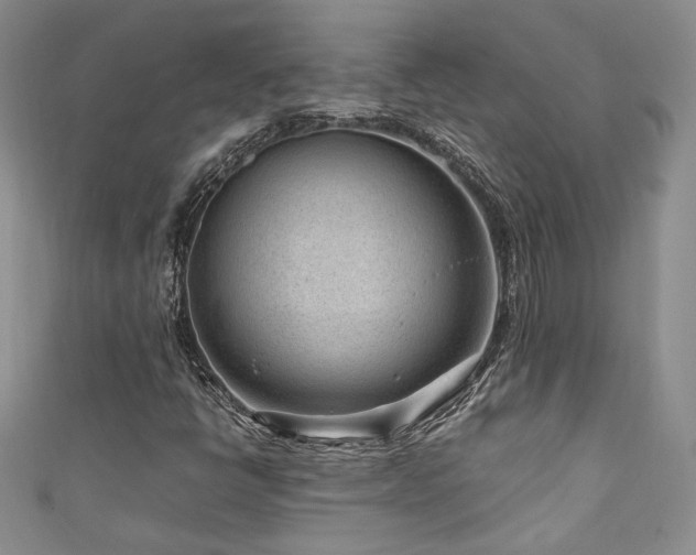 X0000111191398200907011402