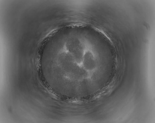 X0000111191399200907011402