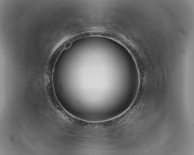 X0000111191400200907011402