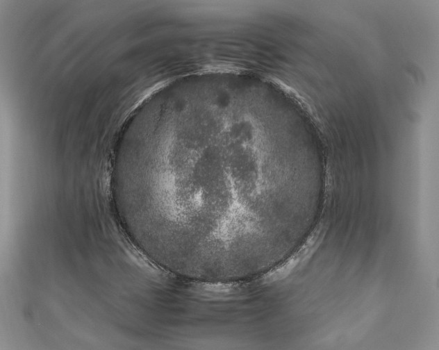 X0000111191401200907011402