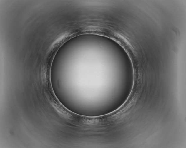 X0000111191403200907011402