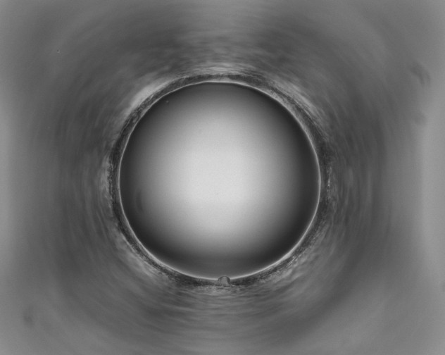 X0000111191404200907011402