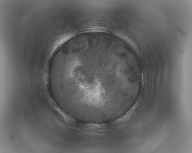 X0000111191405200907011402