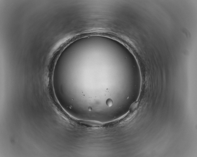 X0000111191406200907011402