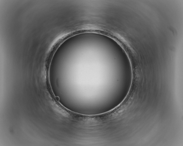 X0000111191408200907011402