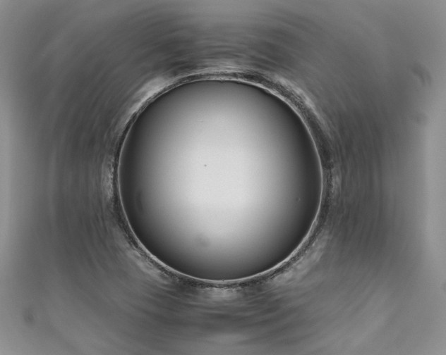 X0000111191409200907011402