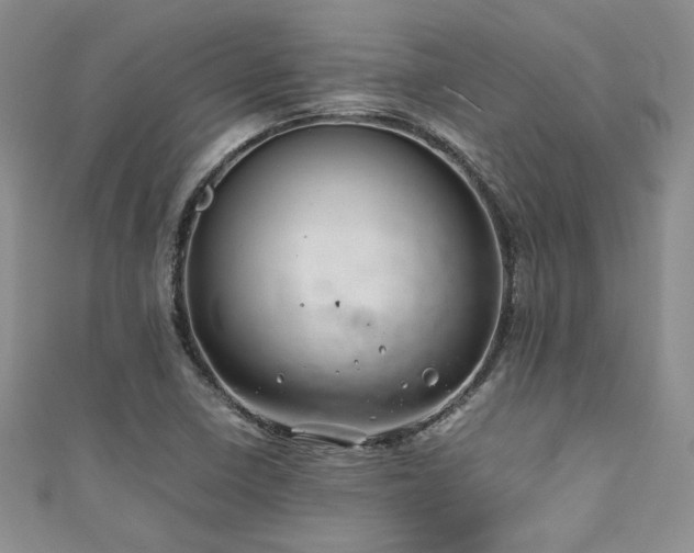 X0000111191410200907011402