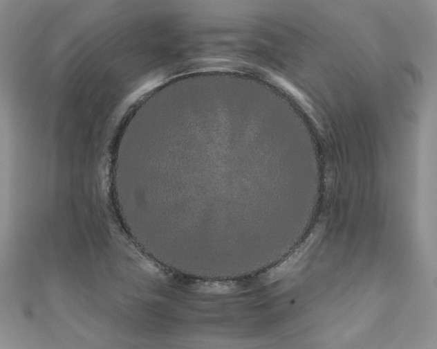 X0000111191411200907011402