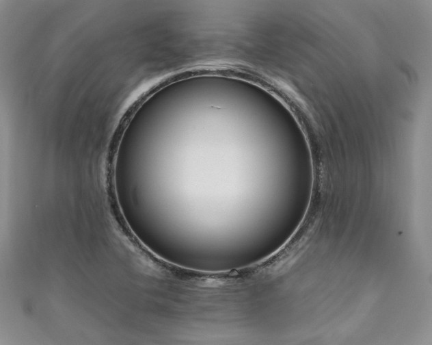 X0000111191412200907011402