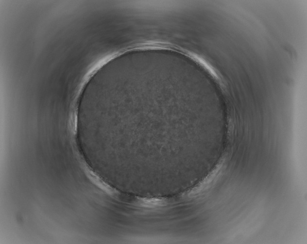 X0000111191413200907011402