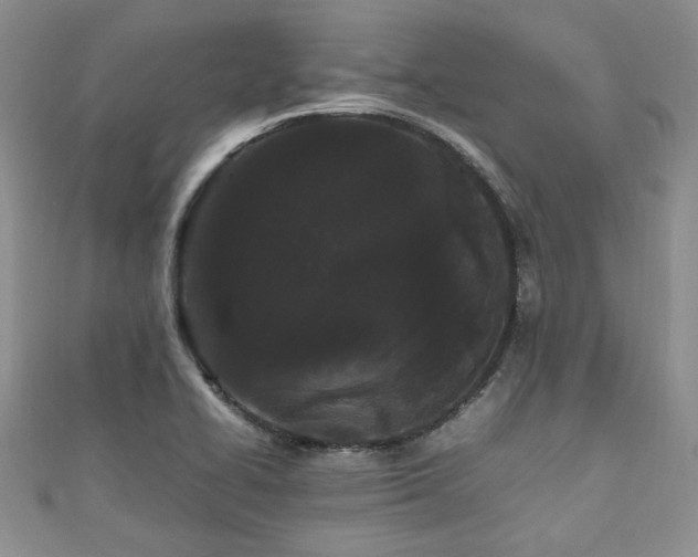 X0000111191414200907011402