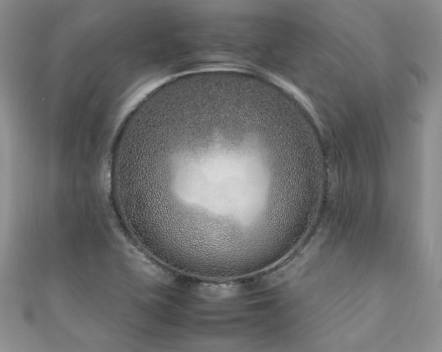 X0000111191415200907011402