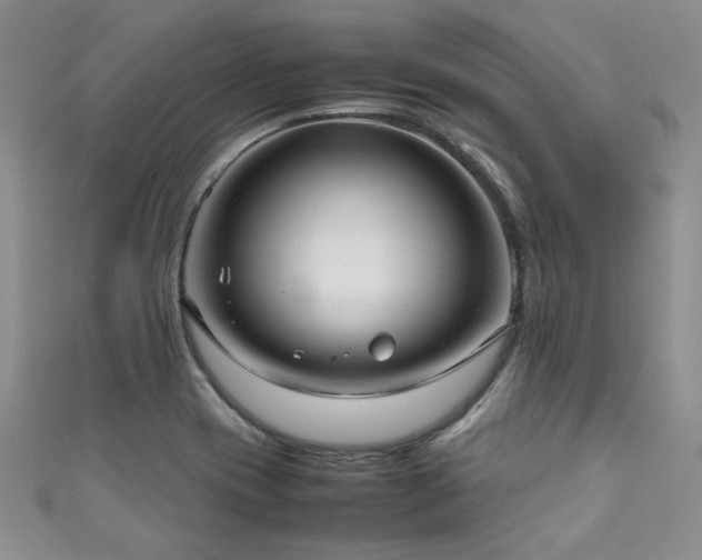 X0000111191417200907011402