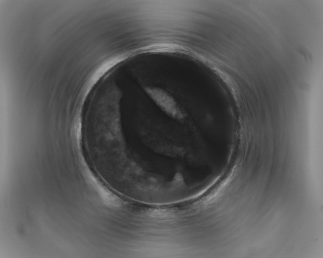 X0000111191418200907011402