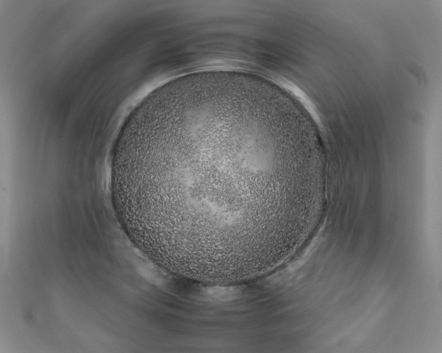 X0000111191419200907011402