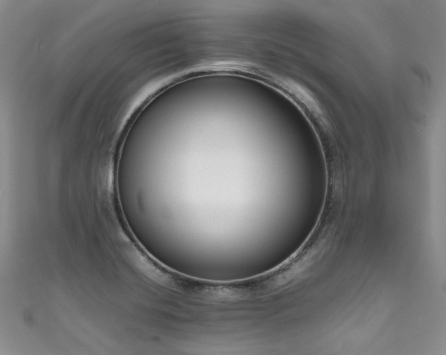 X0000111191420200907011402