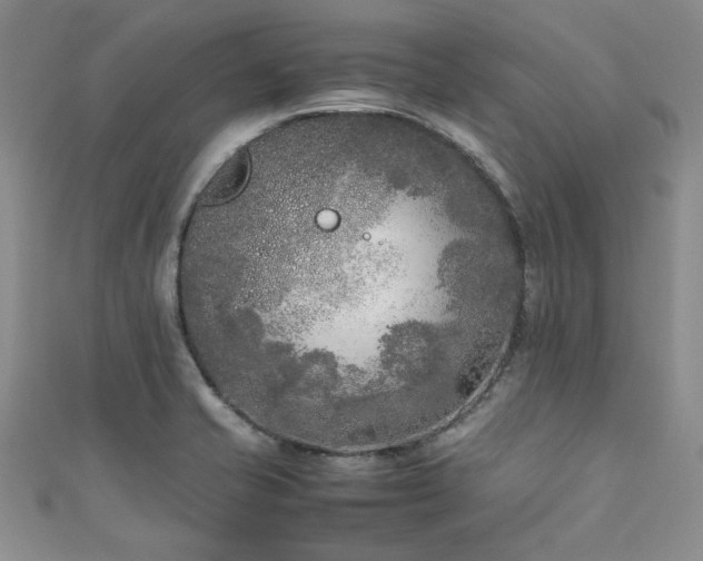 X0000111191421200907011402