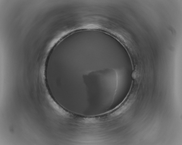 X0000111191422200907011402