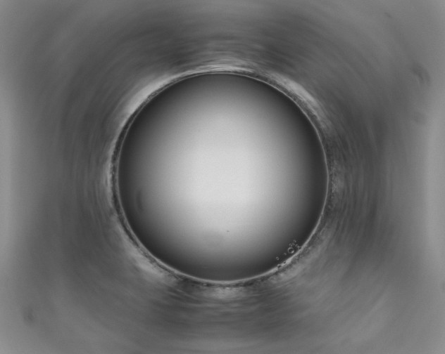 X0000111191423200907011402