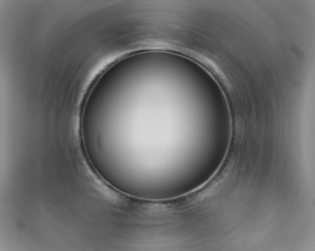 X0000111191424200907011402