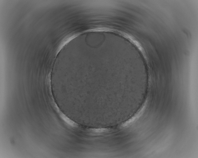 X0000111191425200907011402