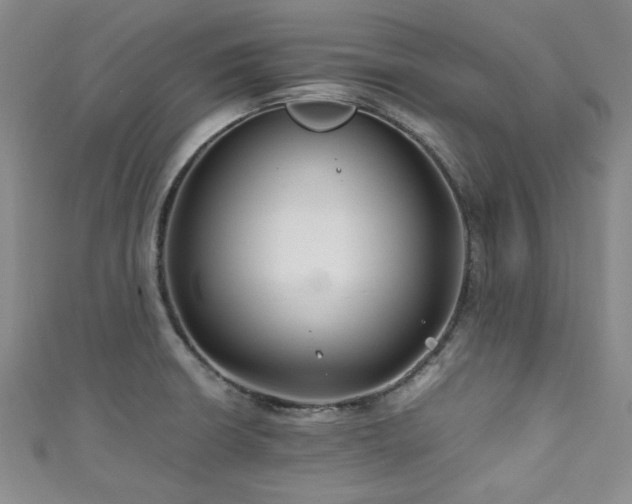 X0000111191426200907011402