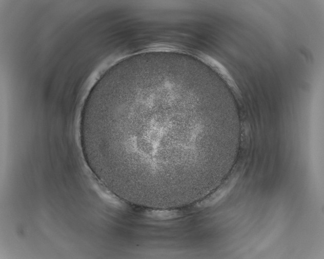 X0000111191427200907011402