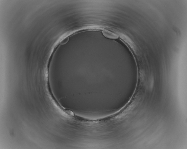 X0000111191428200907011402