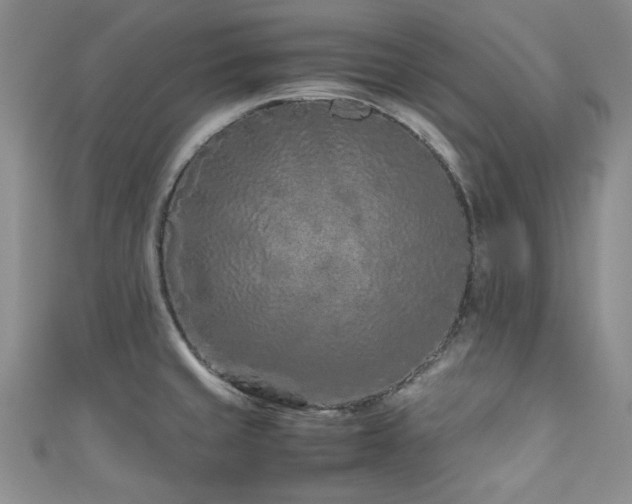 X0000111191429200907011402