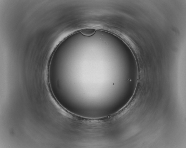 X0000111191432200907011402