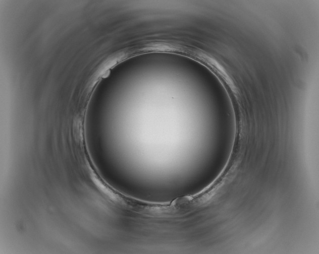 X0000111191433200907011402