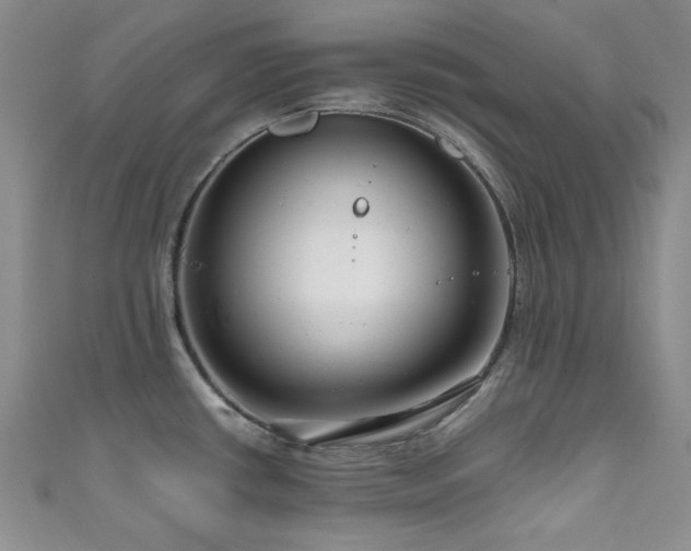 X0000111191434200907011403