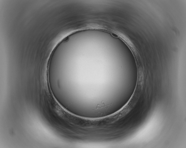 X0000111191439200907011403