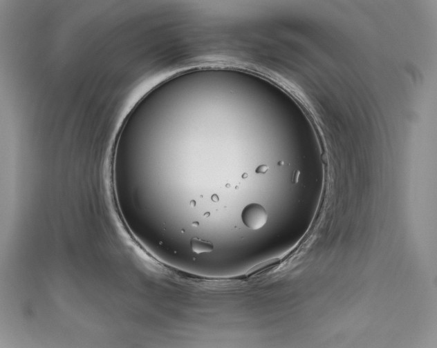 X0000111191440200907011403