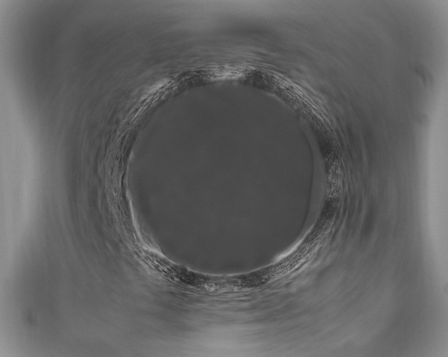 X0000111191441200907011402