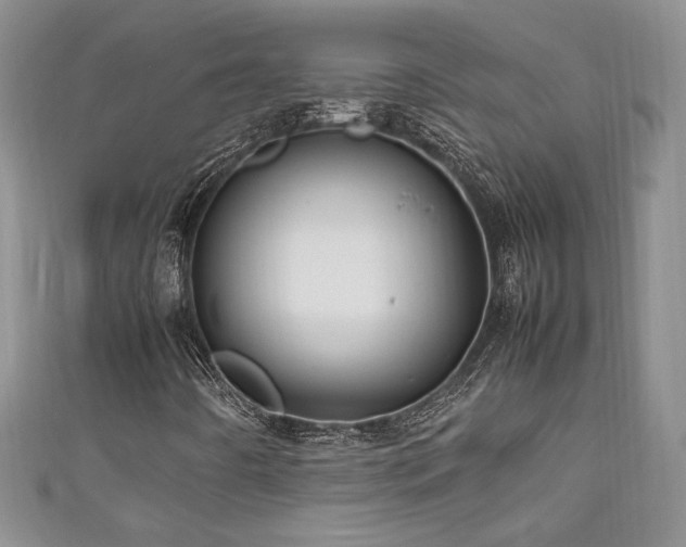 X0000111191442200907011402