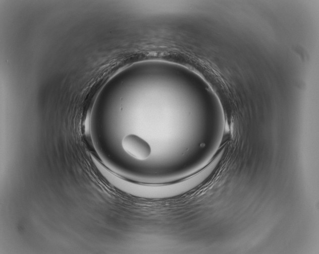 X0000111191444200907011402