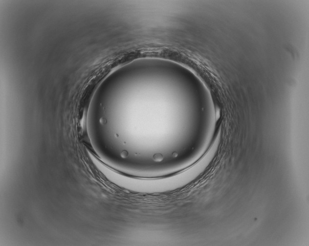 X0000111191445200907011402