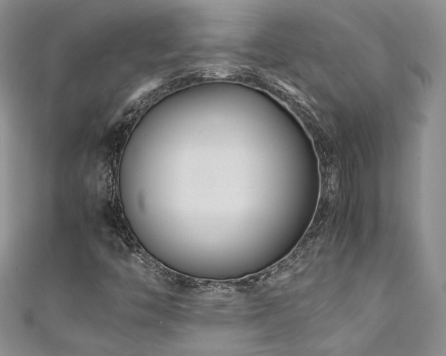 X0000111191446200907011402