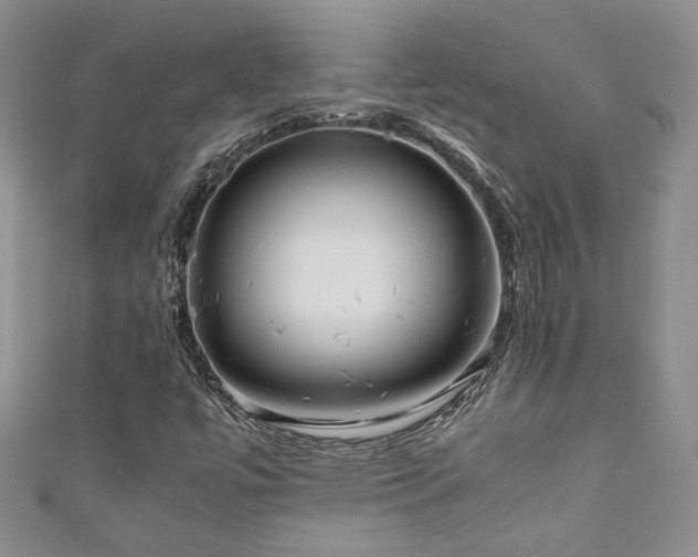 X0000111191447200907011402