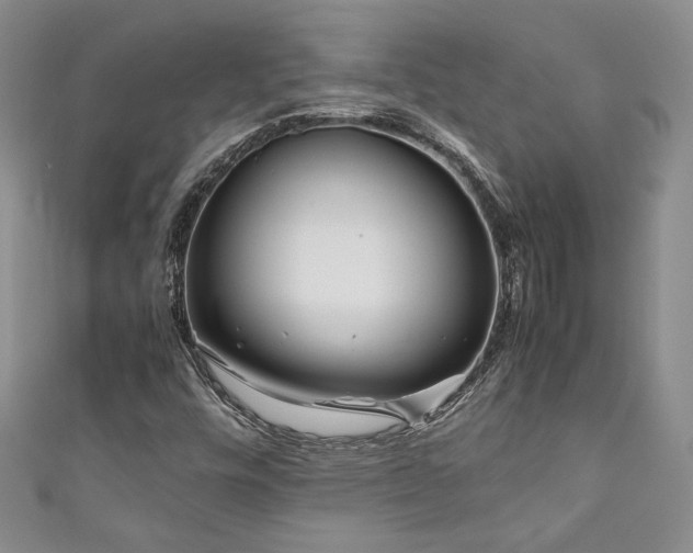 X0000111191448200907011402