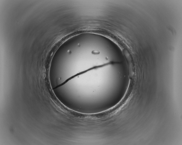 X0000111191449200907011402