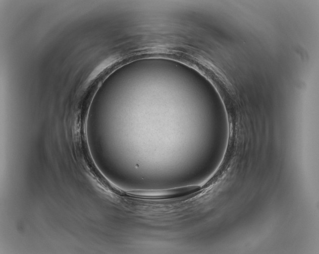 X0000111191450200907011402