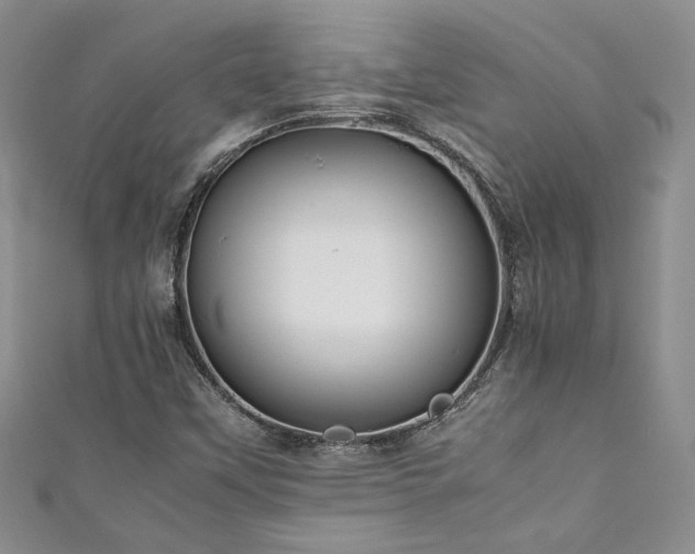 X0000111191451200907011402