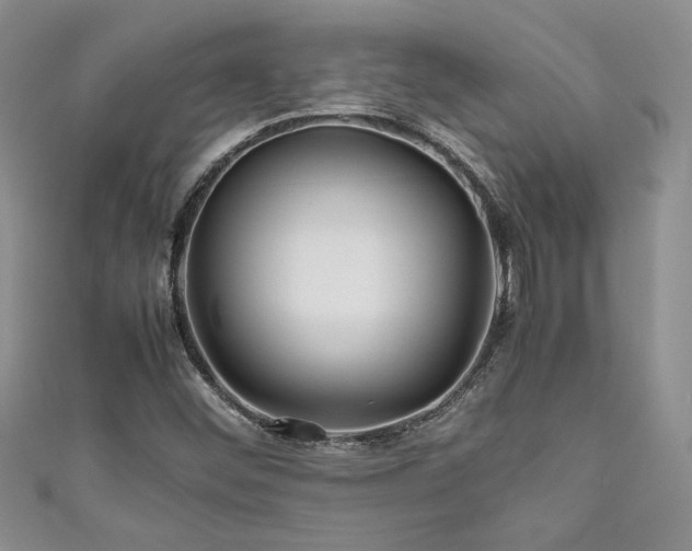 X0000111191452200907011402