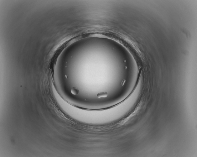 X0000111191453200907011402